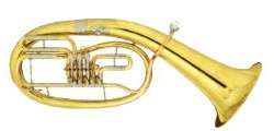 Tenorhorn